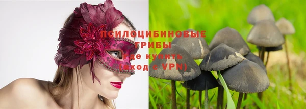 синтетический гашиш Переславль-Залесский