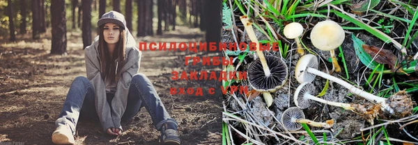дживик Осташков