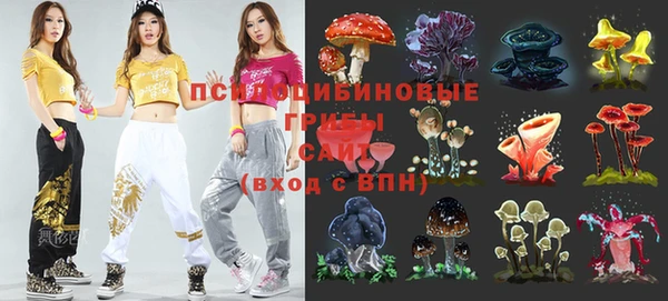 дживик Осташков